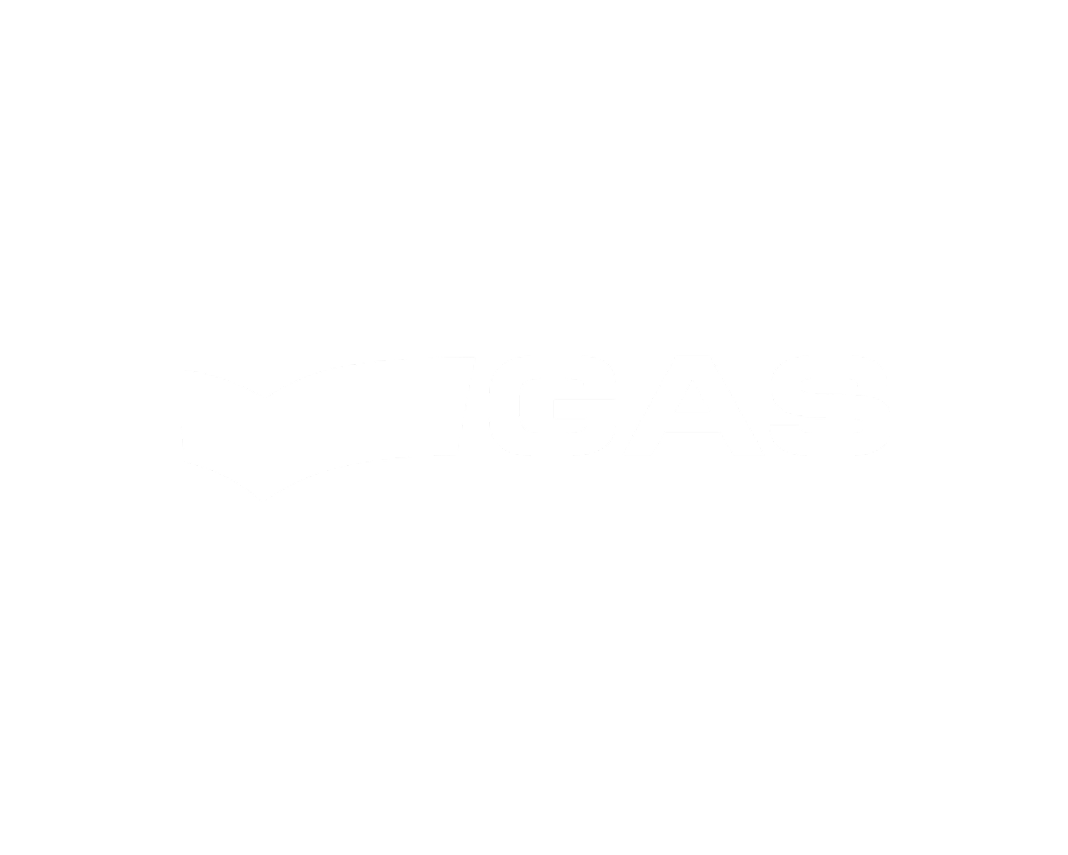 Gas Jeans